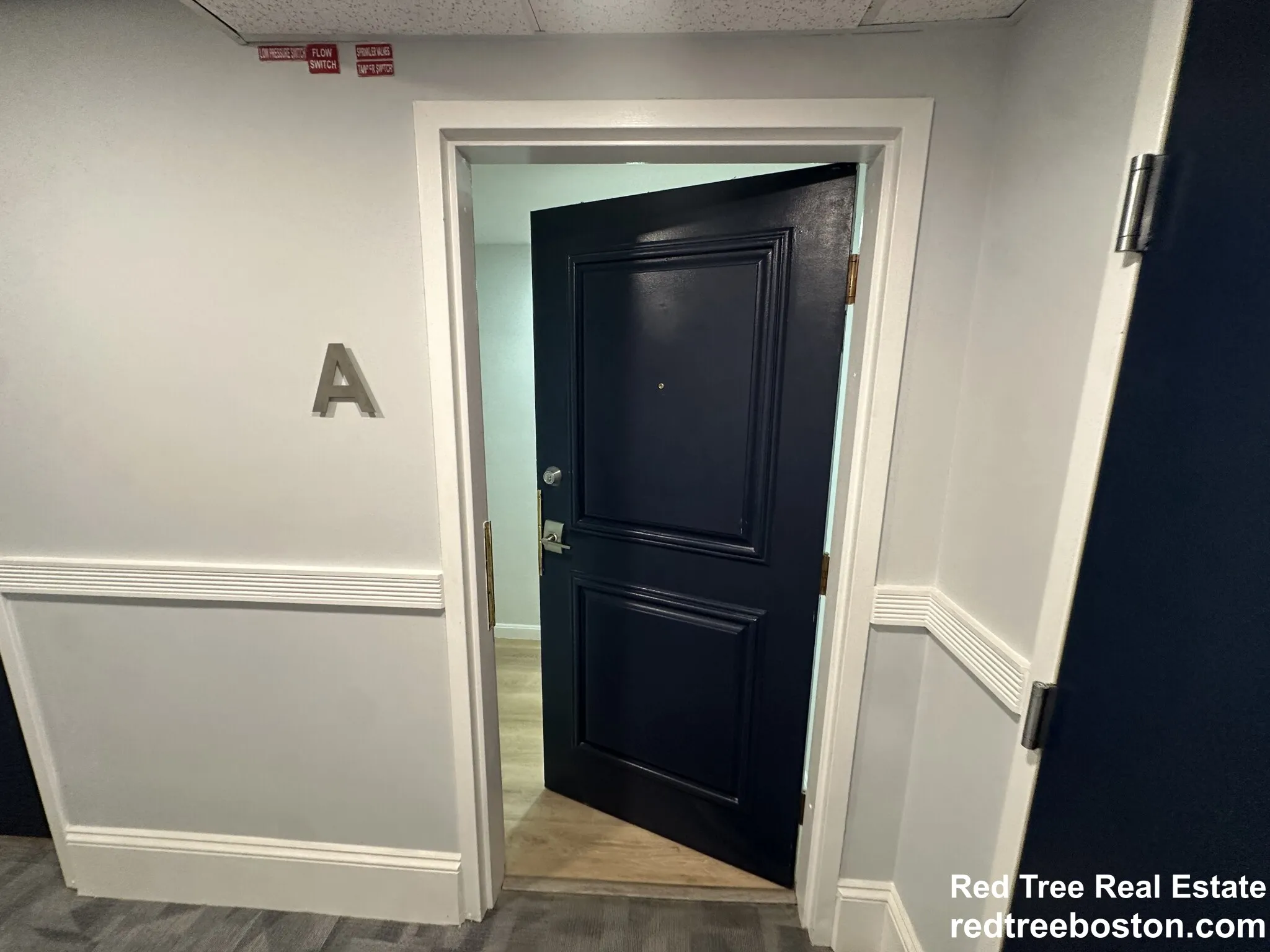 36 Queensberry St, Fenway