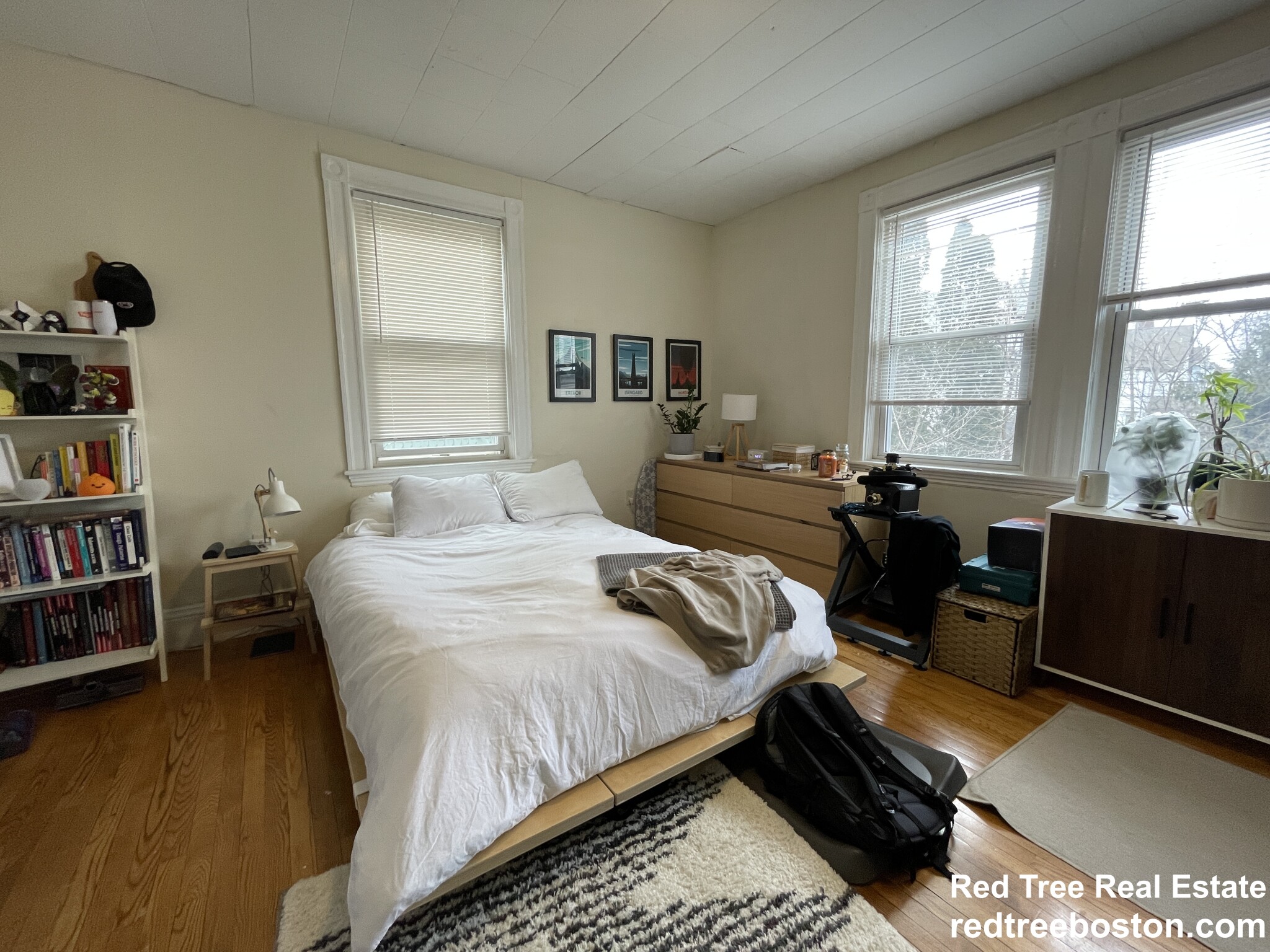 5 Murdock Ter, Brighton