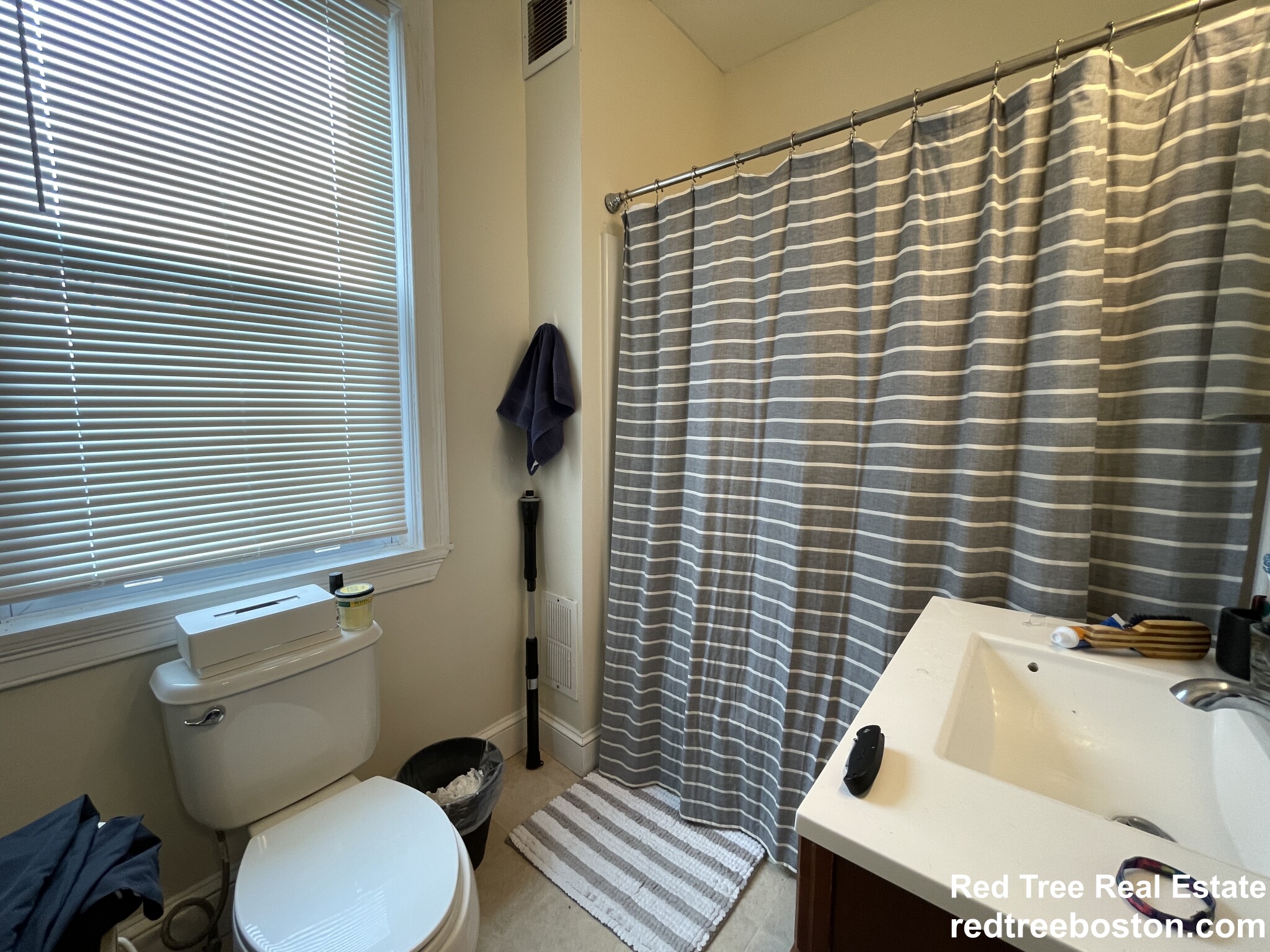 5 Murdock Ter, Brighton