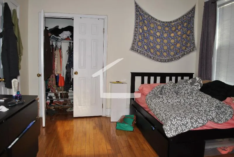 62 Egmont St, North Brookline