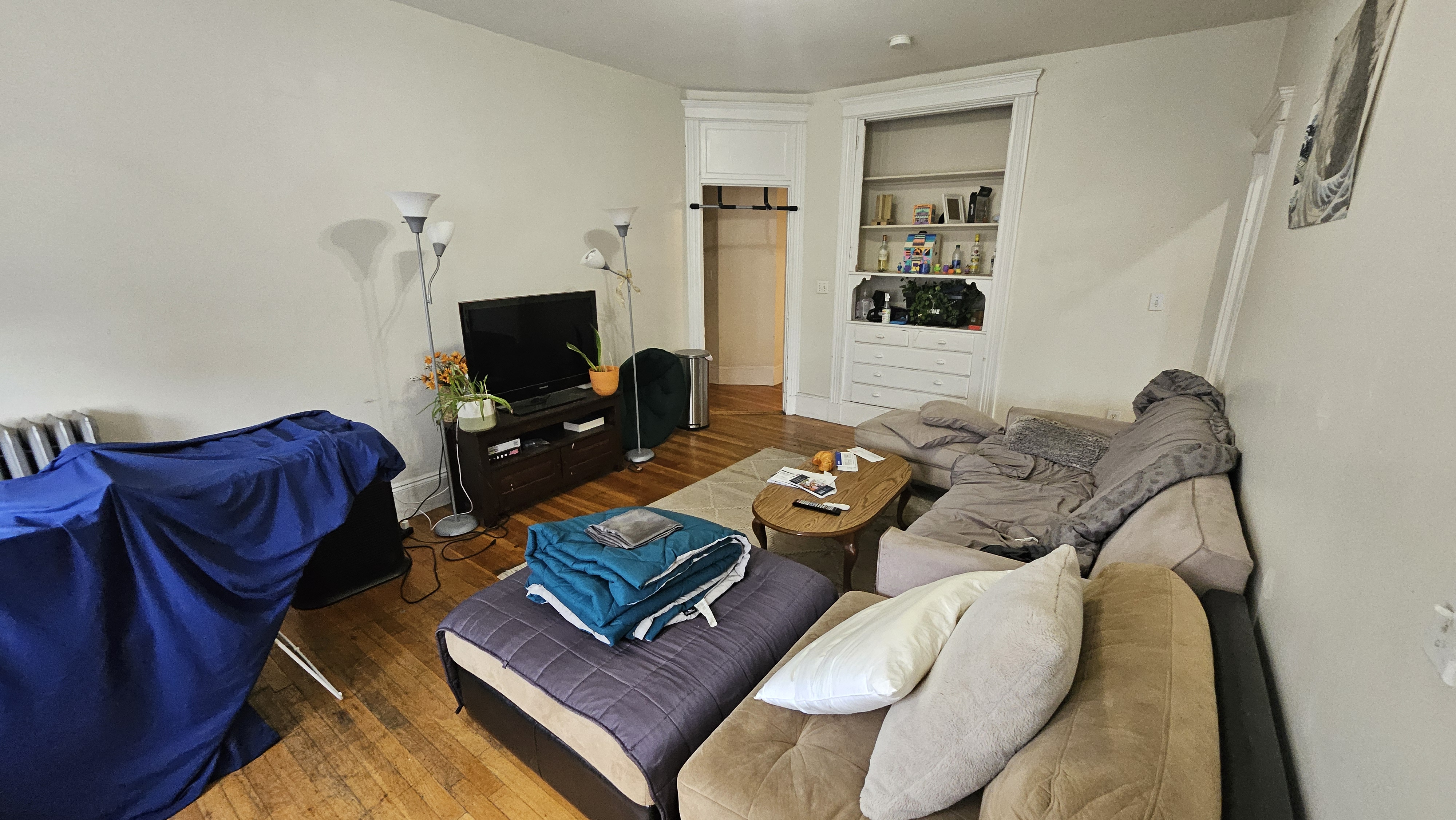 7 Price Rd, Brighton