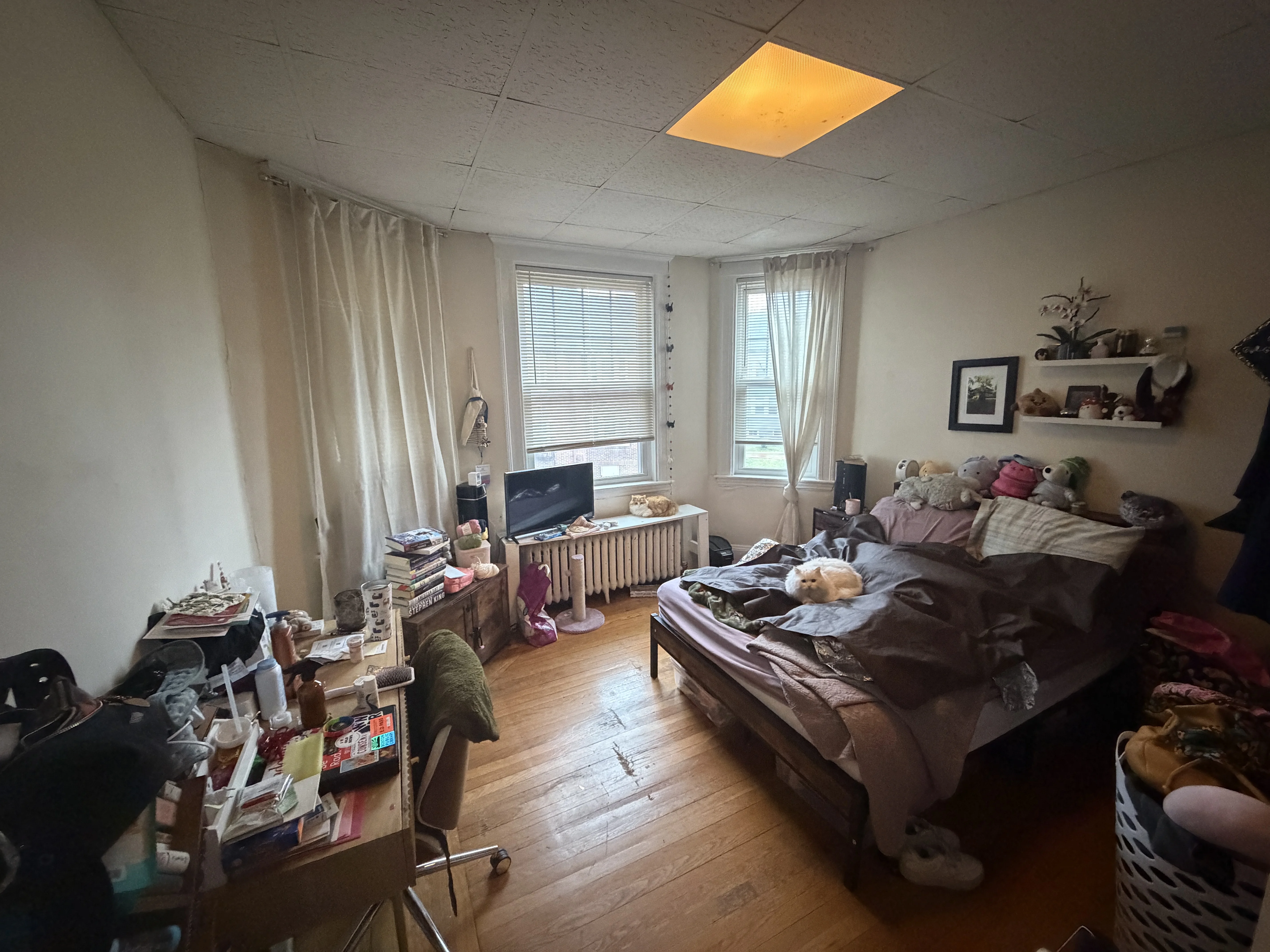 75 Nottinghill Rd, Brighton