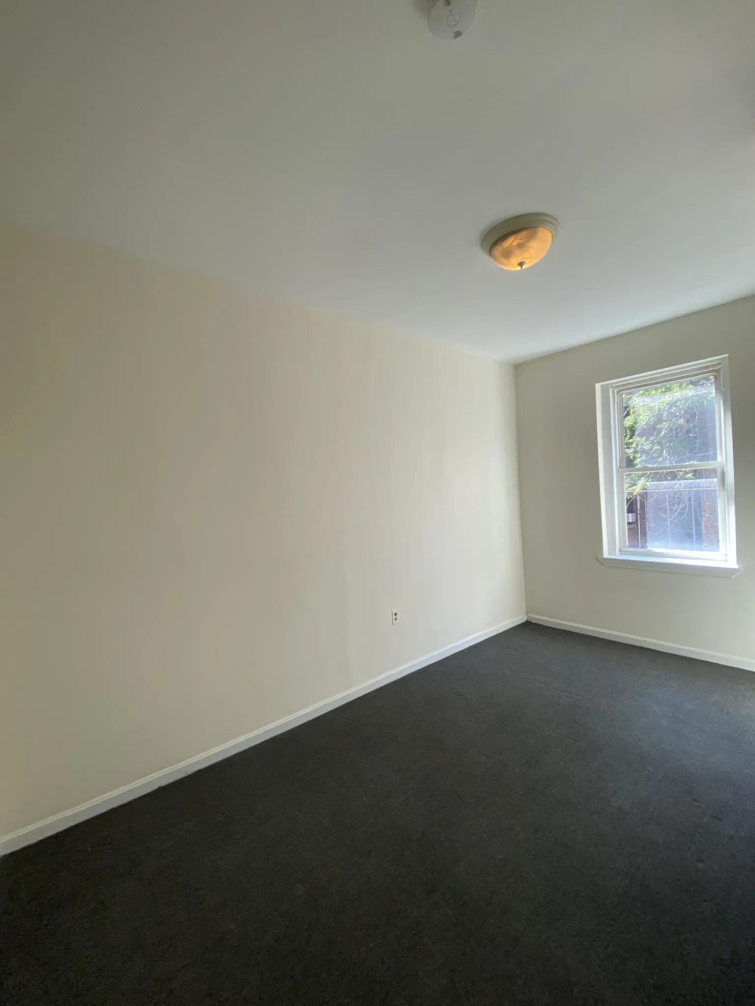 19 Aberdeen St, Fenway