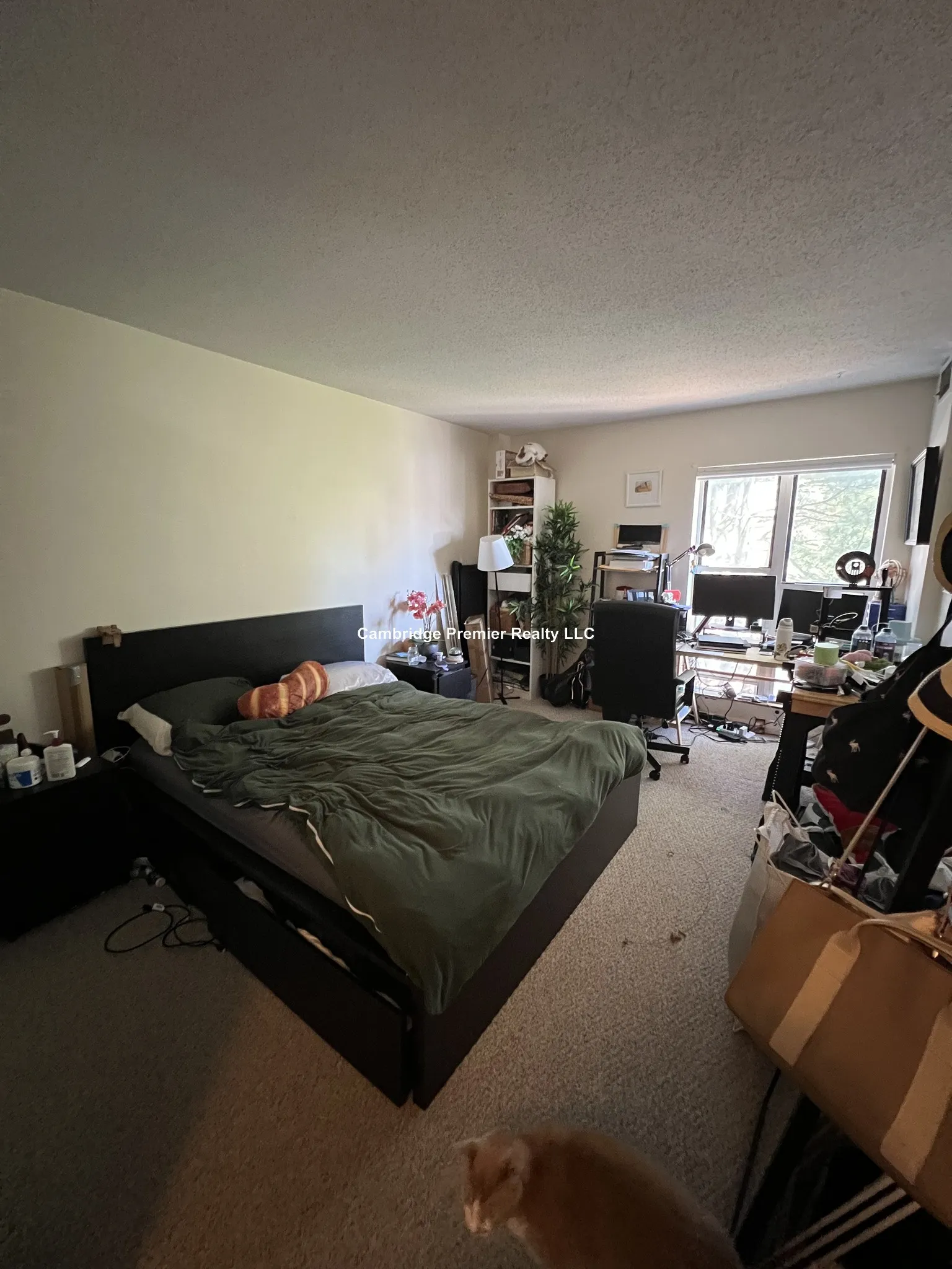 345 Franklin St, Riverside