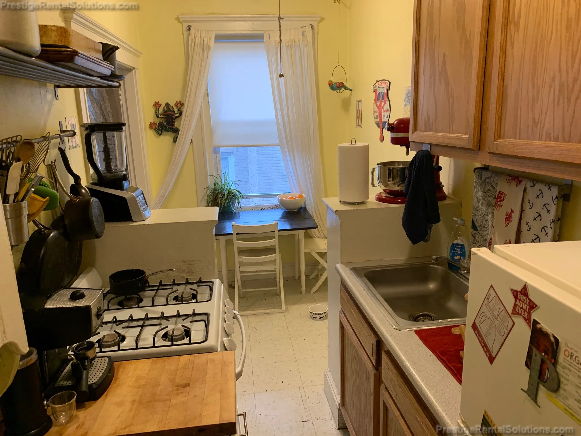 63 Woodstock Ave, Brighton