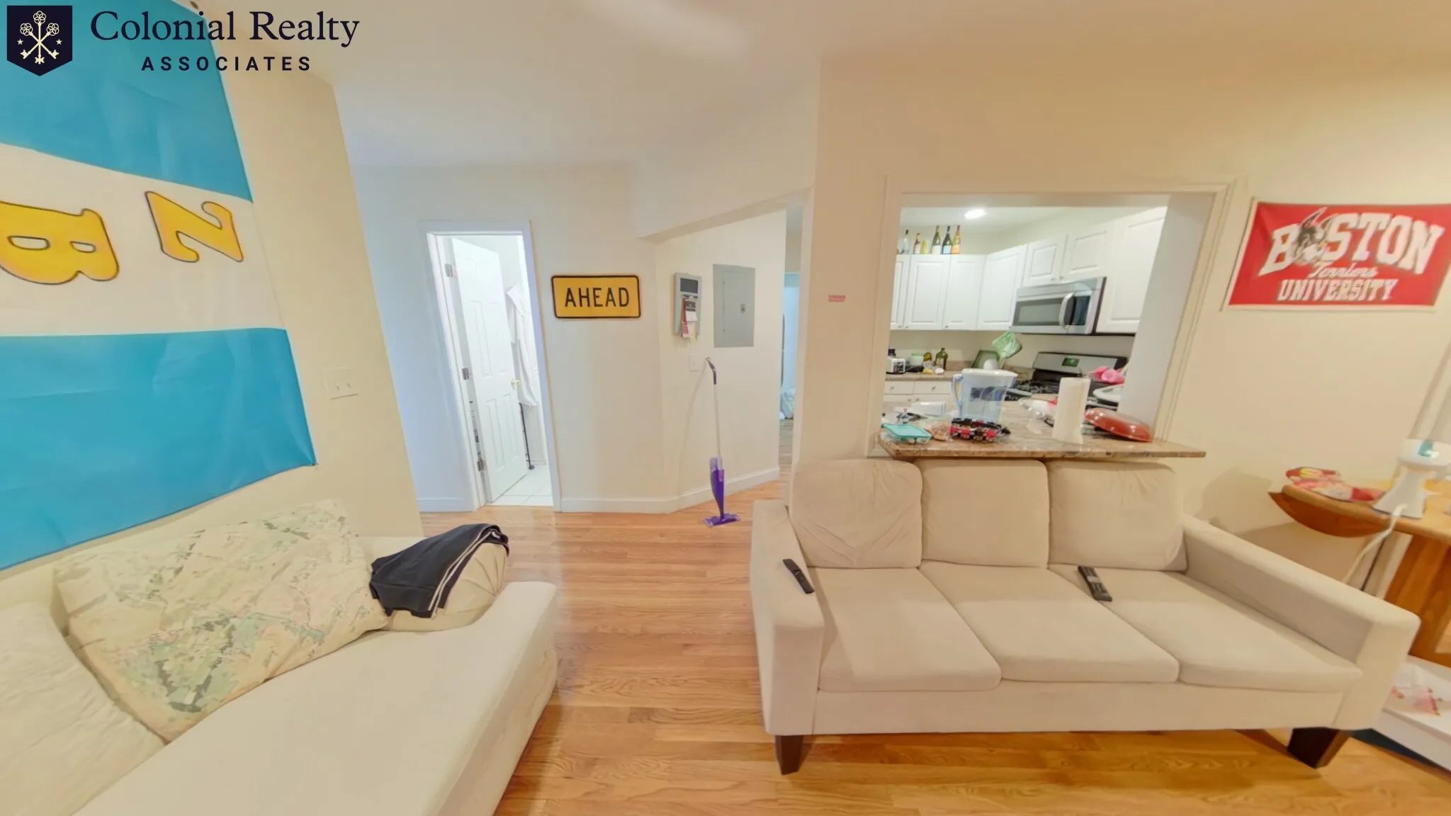 56 Egmont St, North Brookline