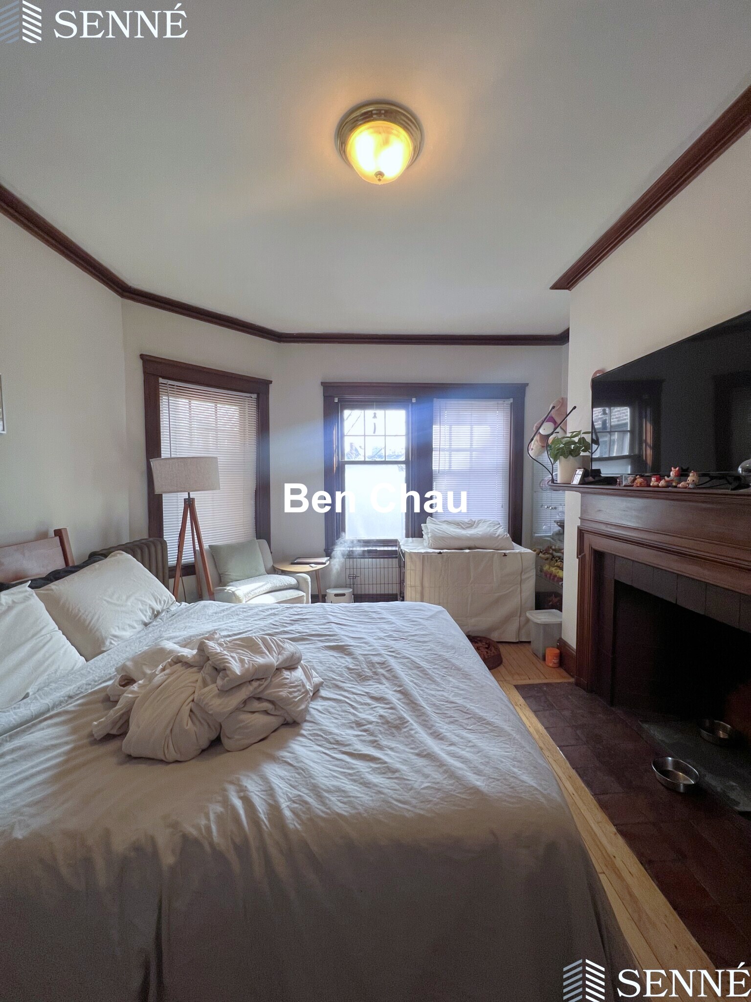 3 Linnaean St, Neighborhood Nine