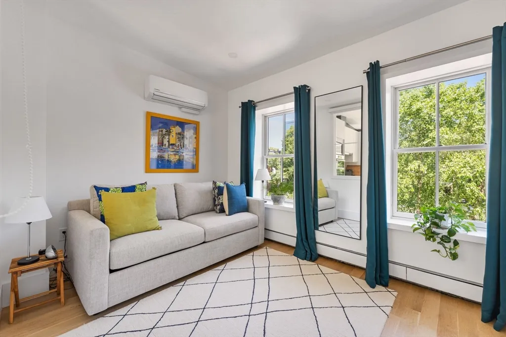 201 West Springfield St, South End