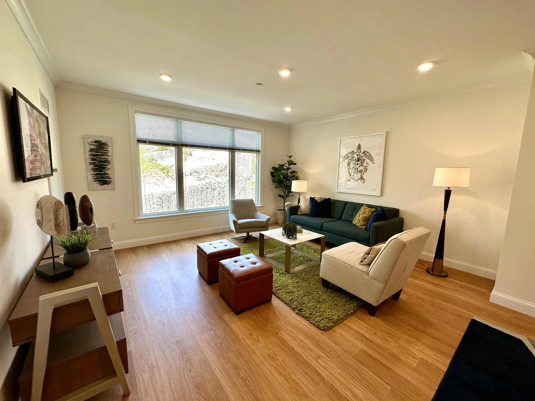 101 Asheville Rd, Chestnut Hill