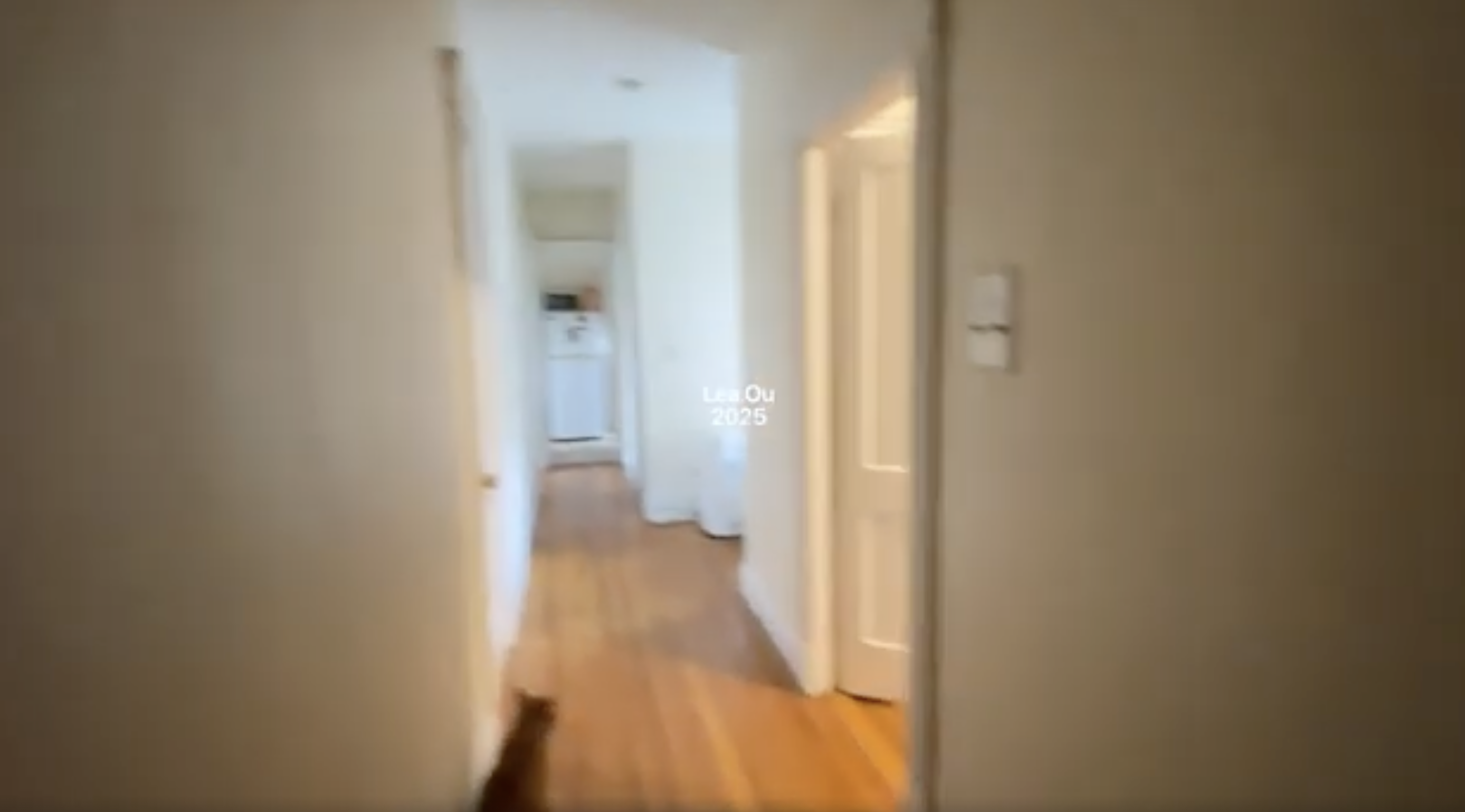 1156 Commonwealth Ave, Brighton