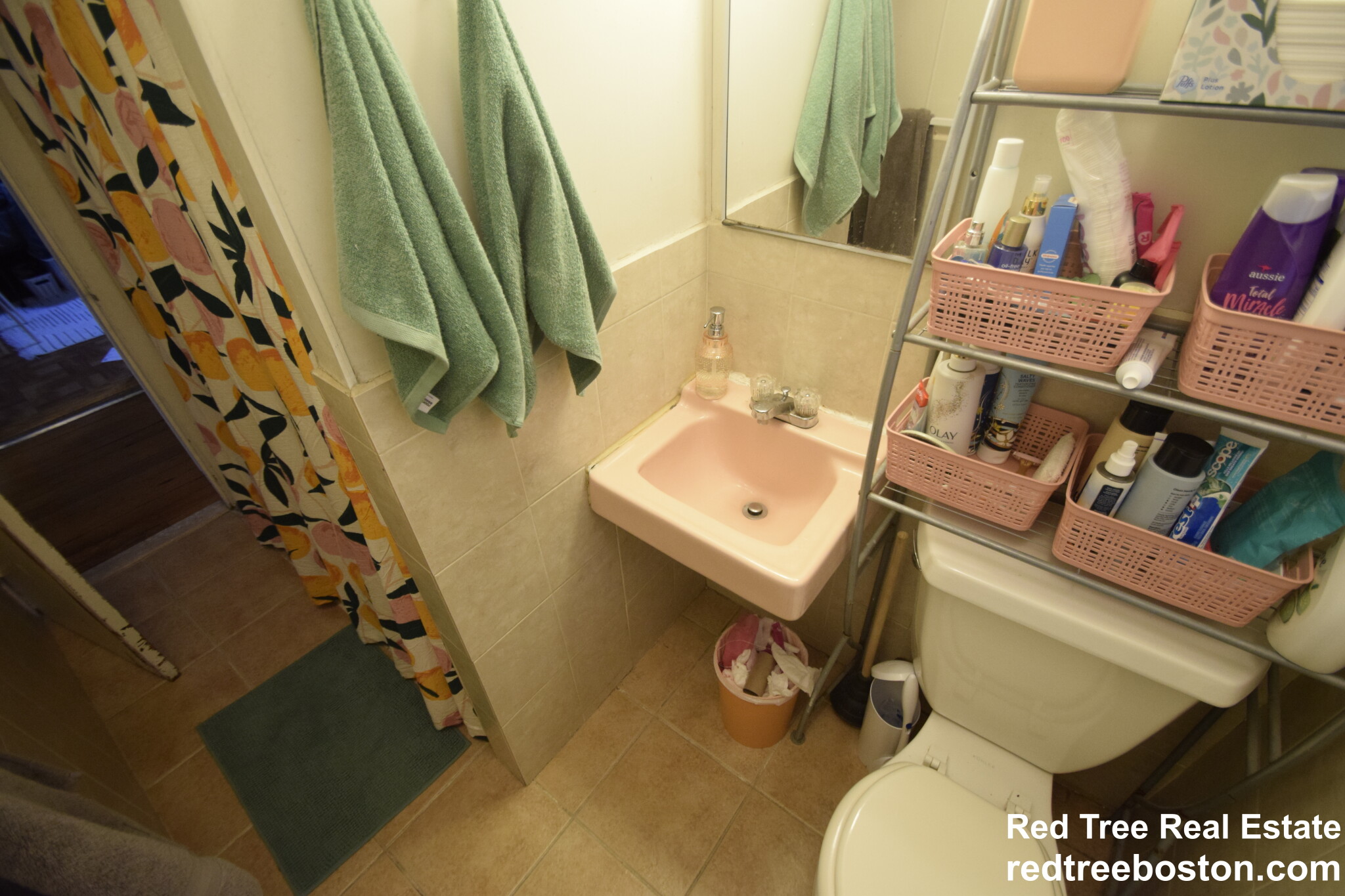 17 Aberdeen St, Fenway