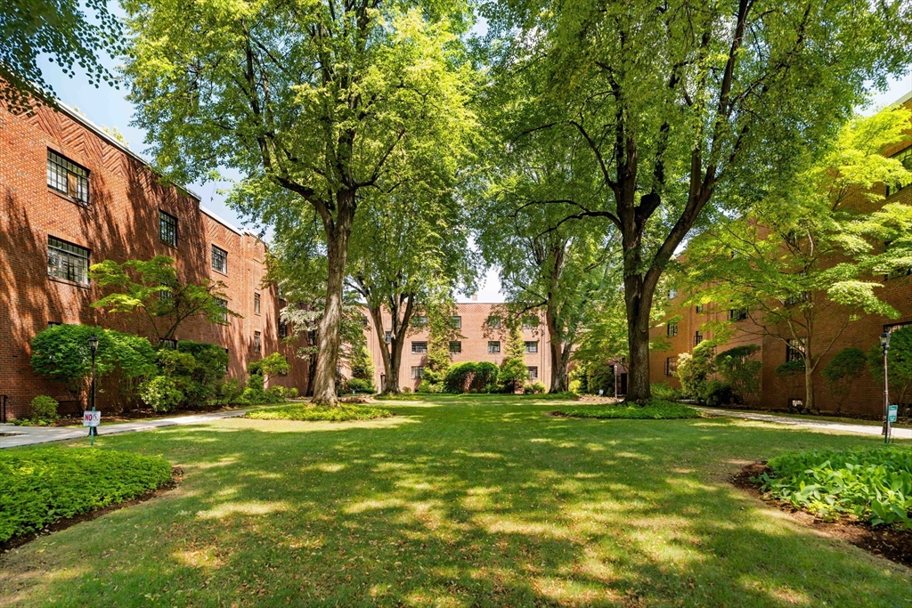 108 Sewall Ave, Coolidge Corner