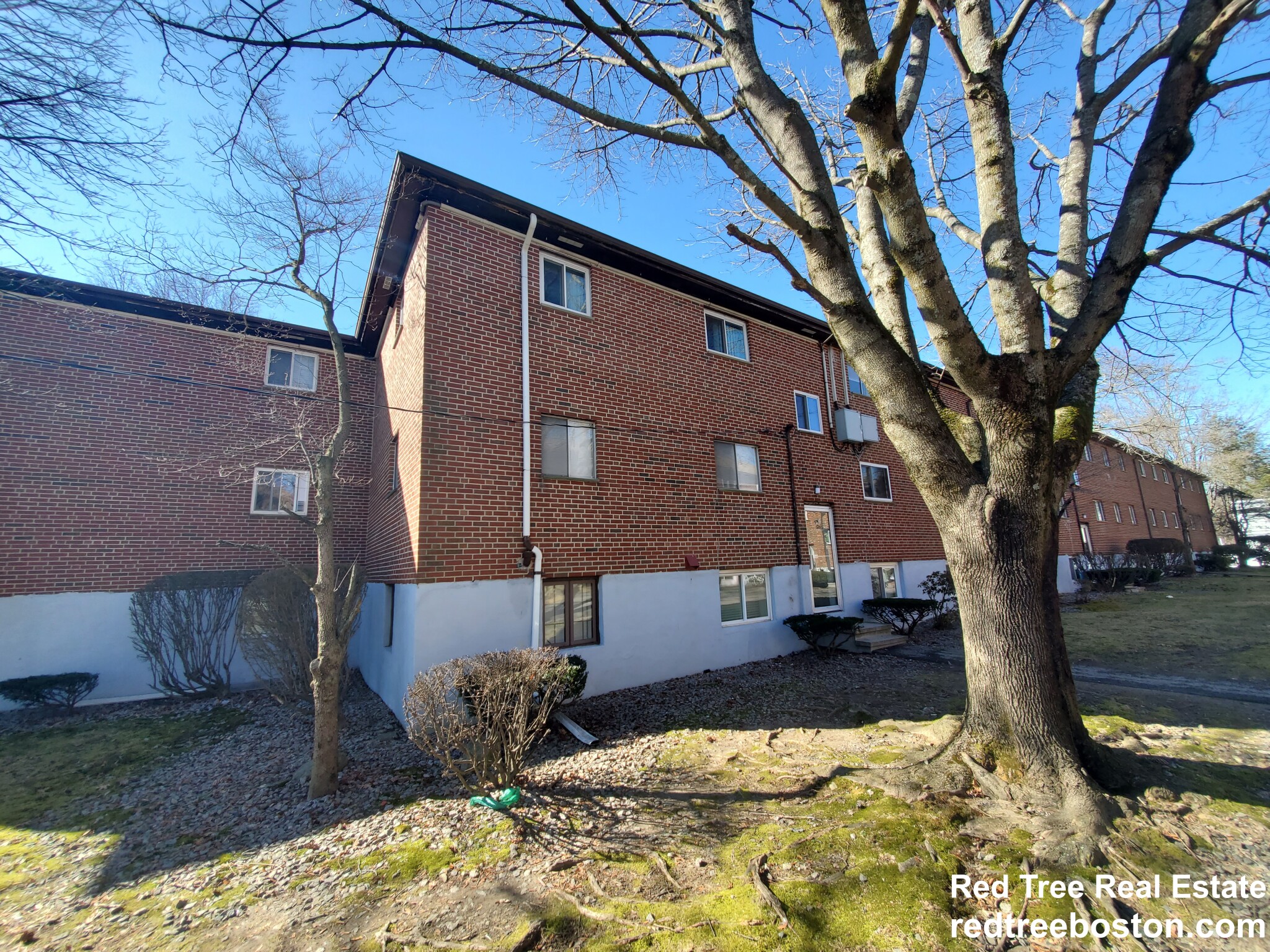 54 Bryon Rd, Chestnut Hill