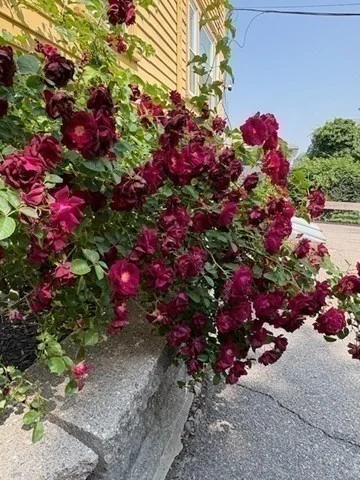 664 Washington St, Oak Square