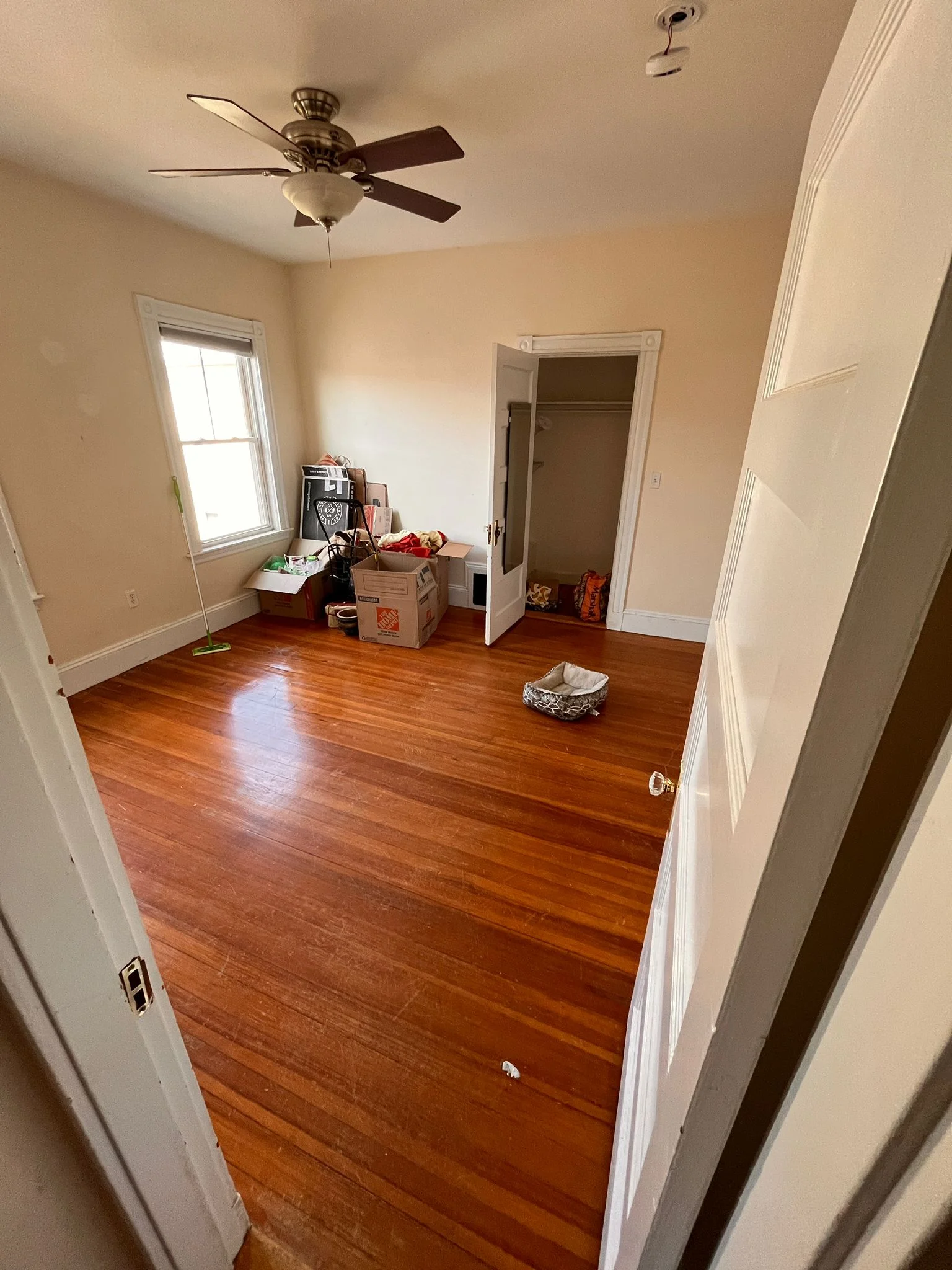 163 Belmont St, Belmont