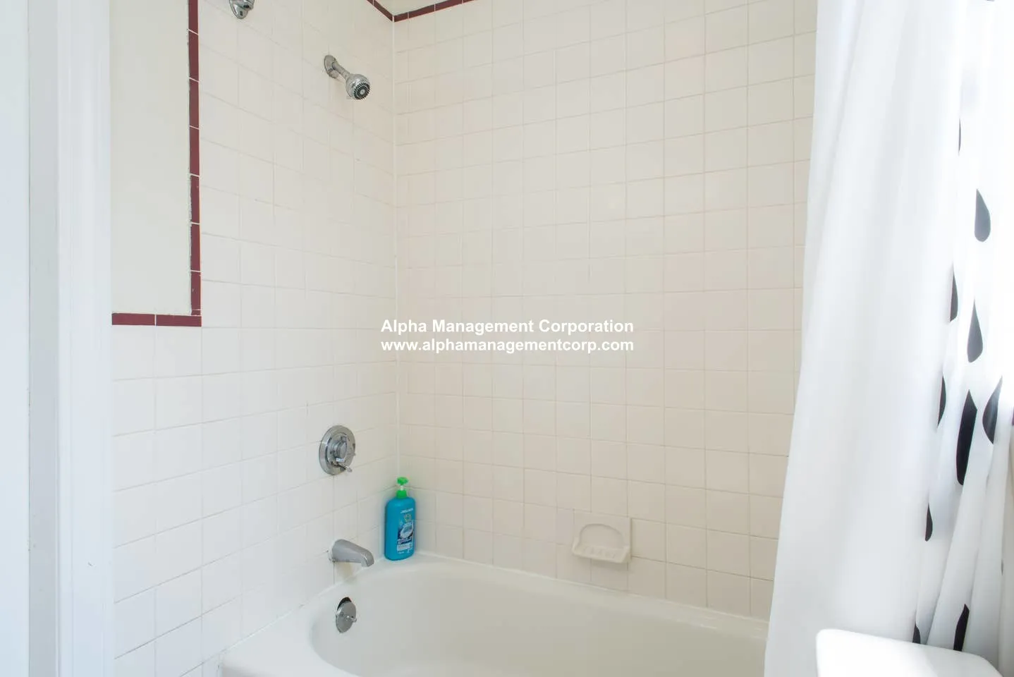 58 Queensberry St, Fenway