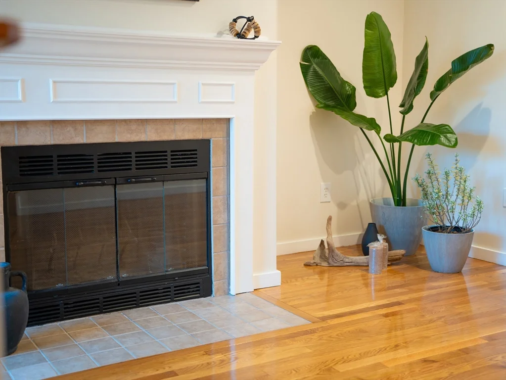 82 Camelot Dr, Worcester