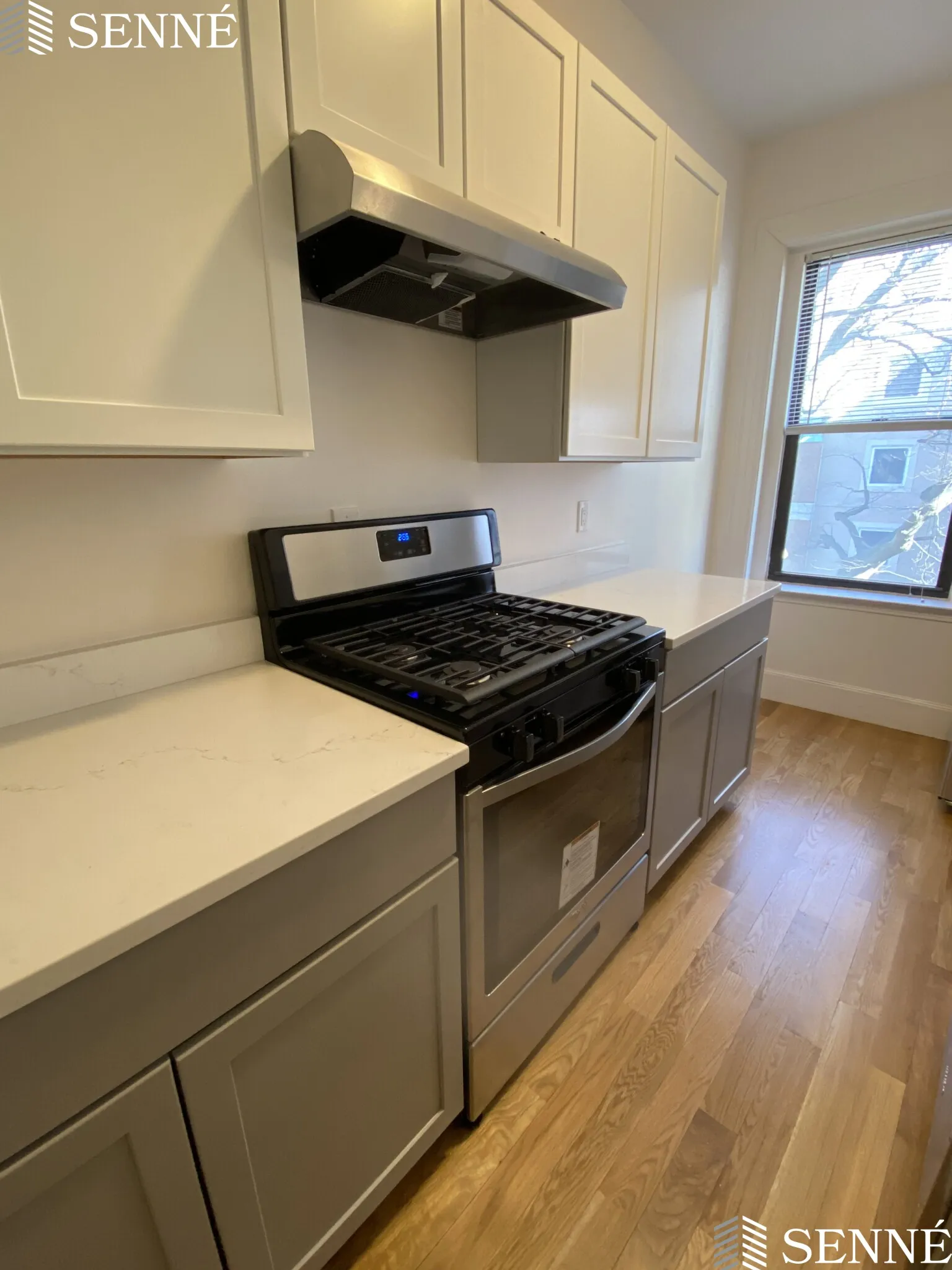 1039 Massachusetts Ave, Harvard Square