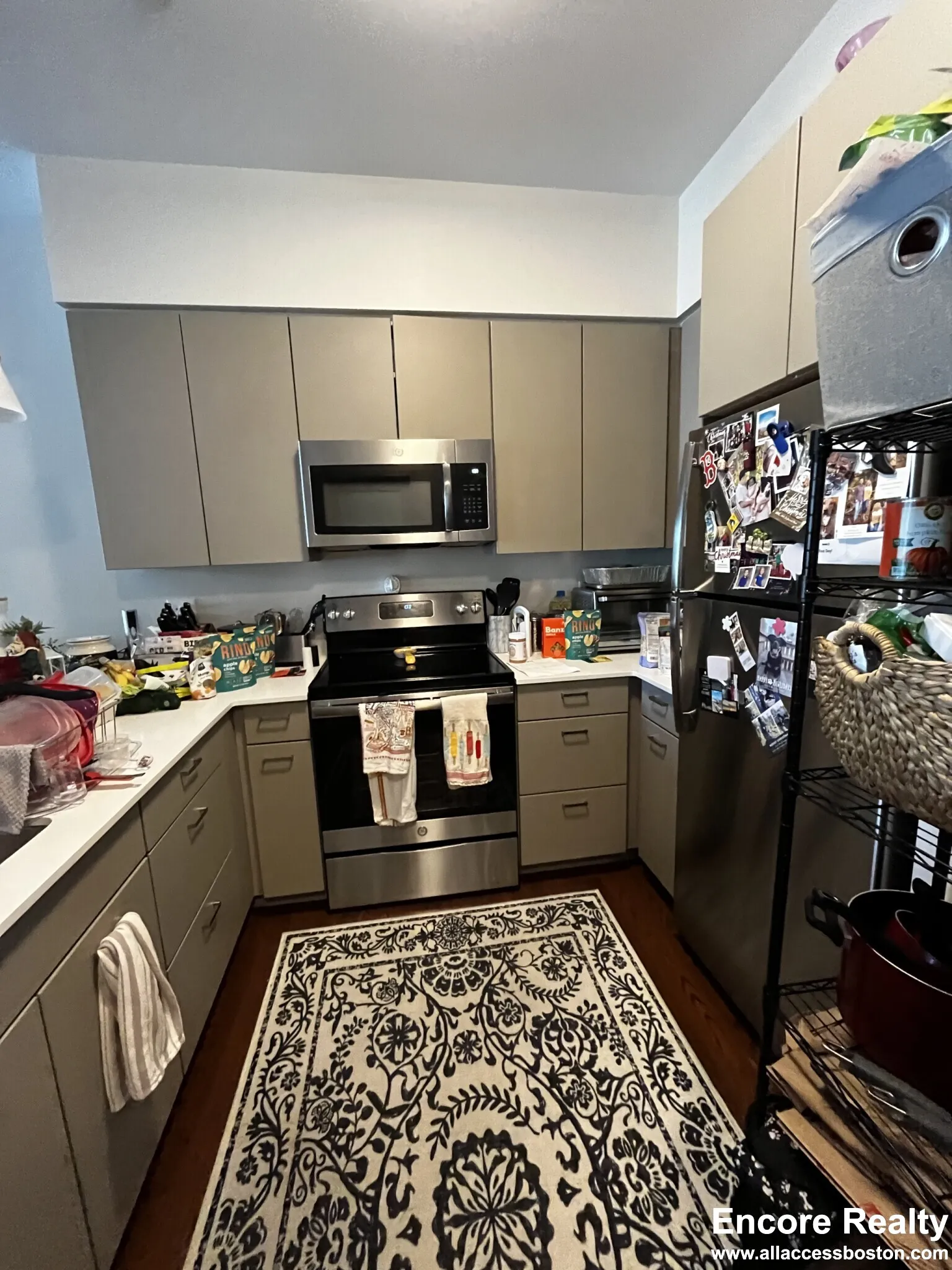 455 Harvard St, North Brookline