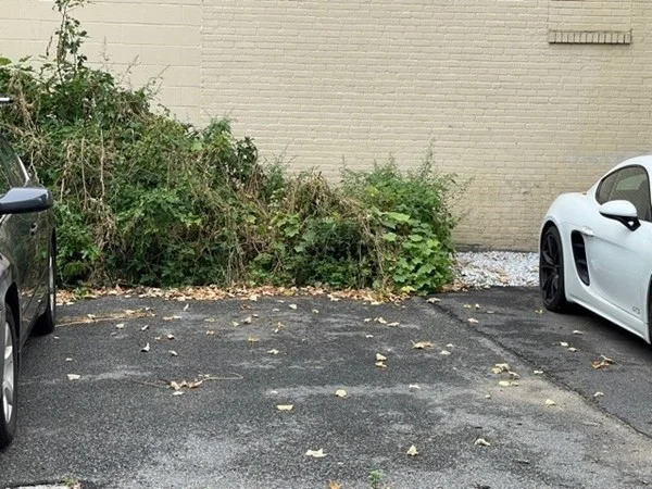 95 Allston, Cambridgeport