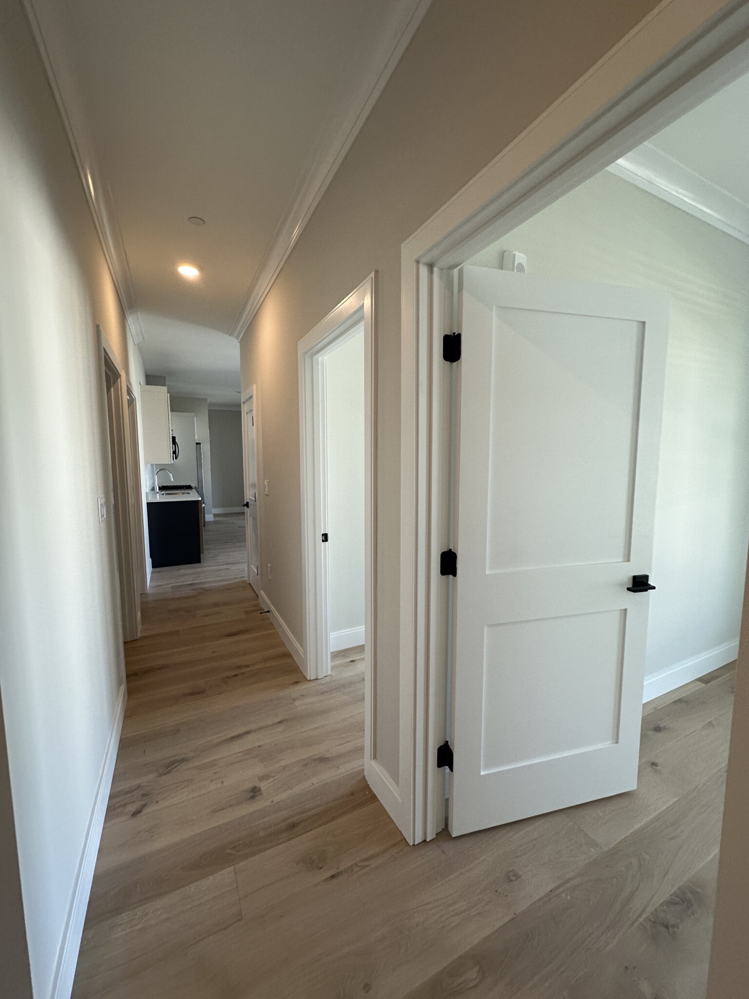 161 Everett St, Brighton