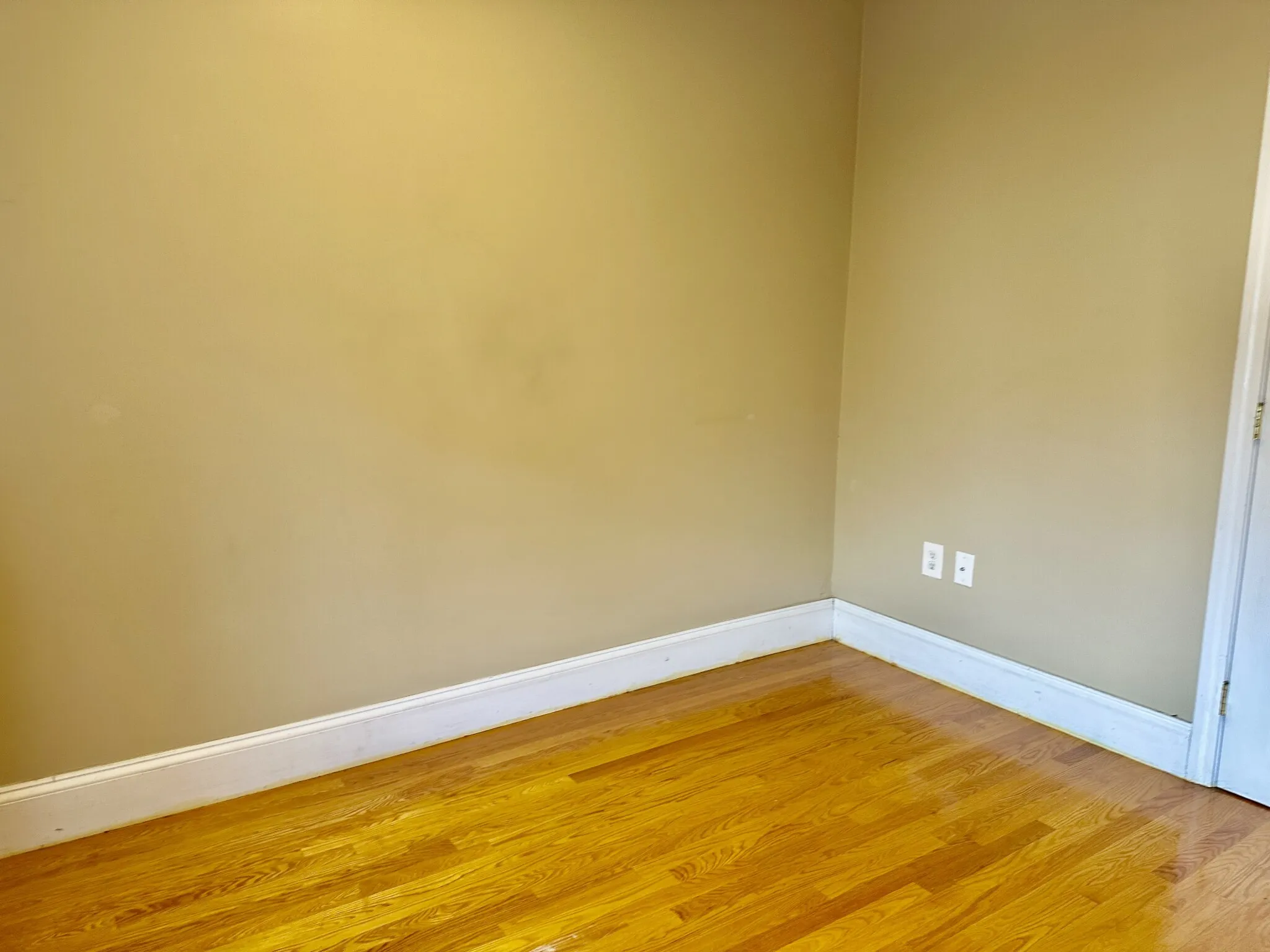 66 Egmont St, North Brookline