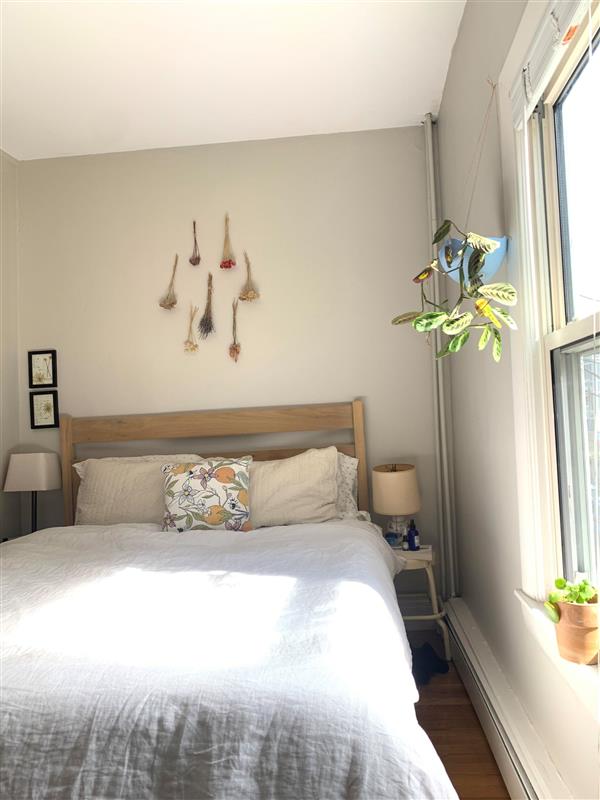 7 Elmer St, Riverside