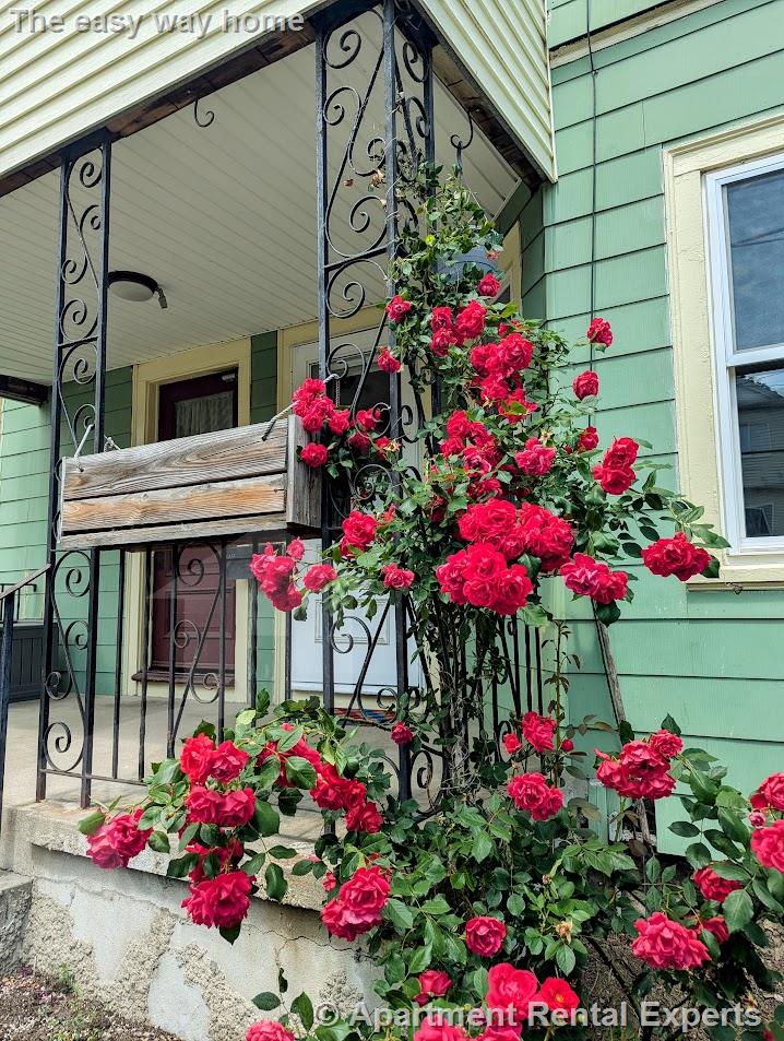 294 Boston Ave, Tufts