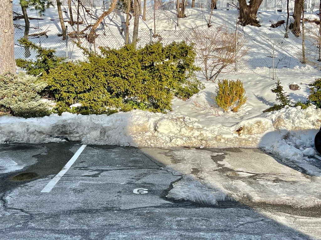 20 Hamilton Rd, Arlington