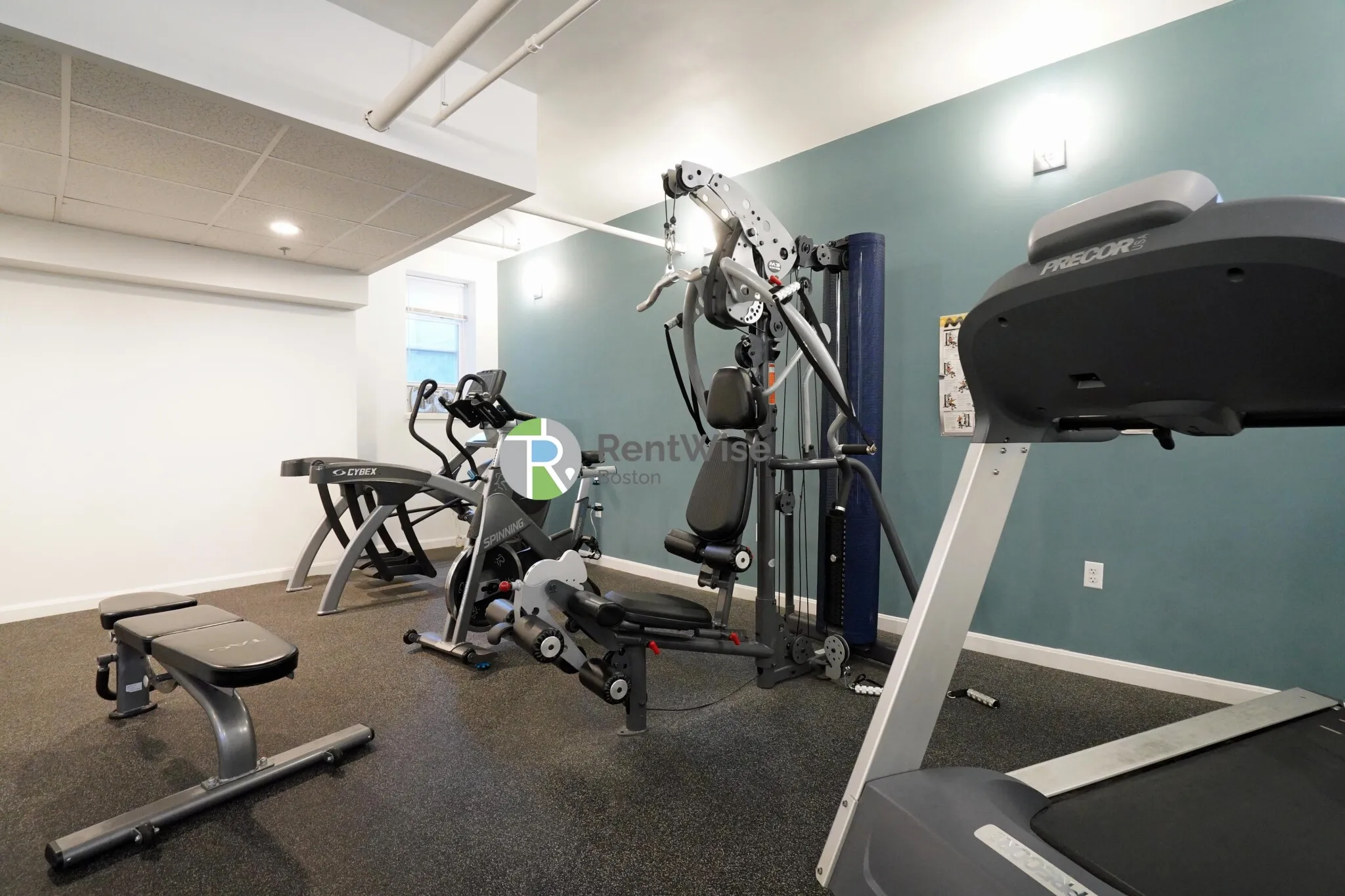 10 Orkney Rd, Brighton