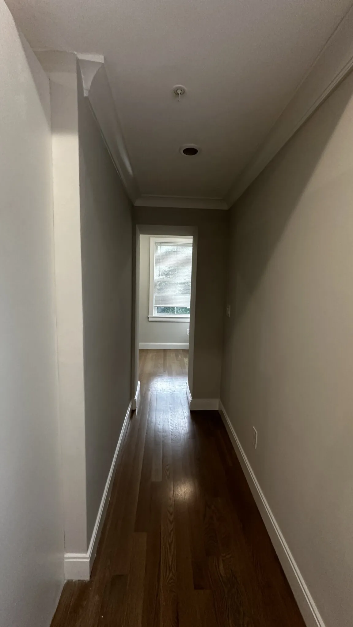 47 Englewood Ave, Brighton