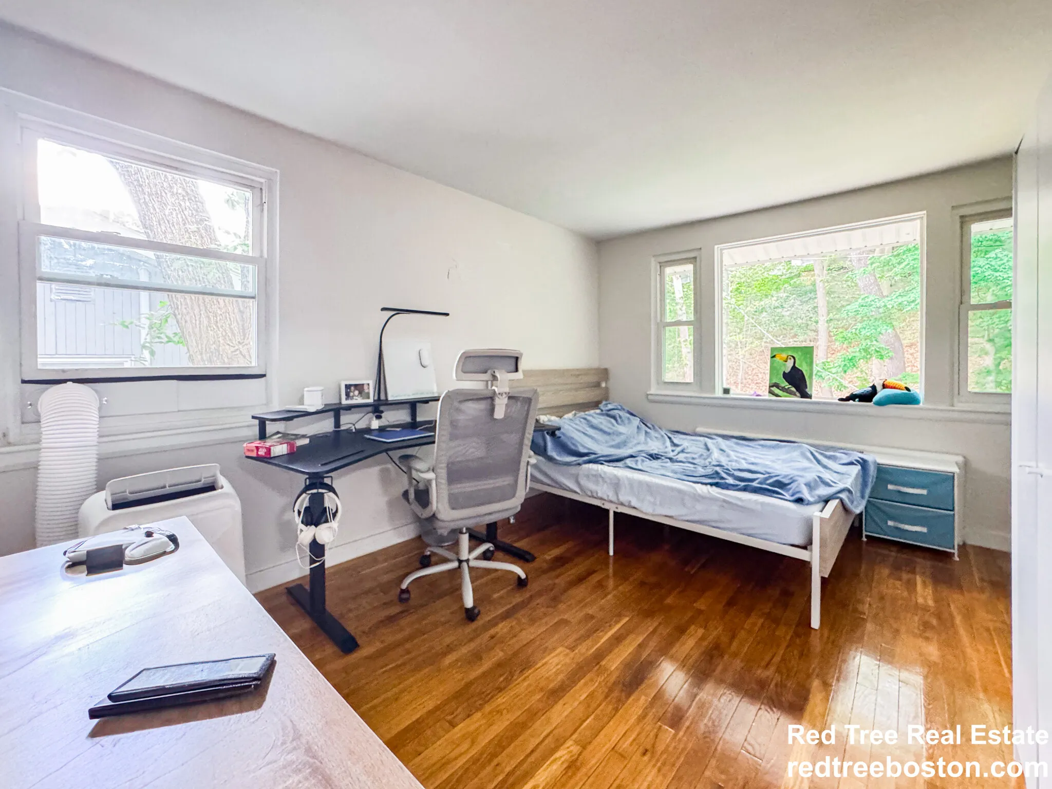 119 Chestnut St, High Street Hill