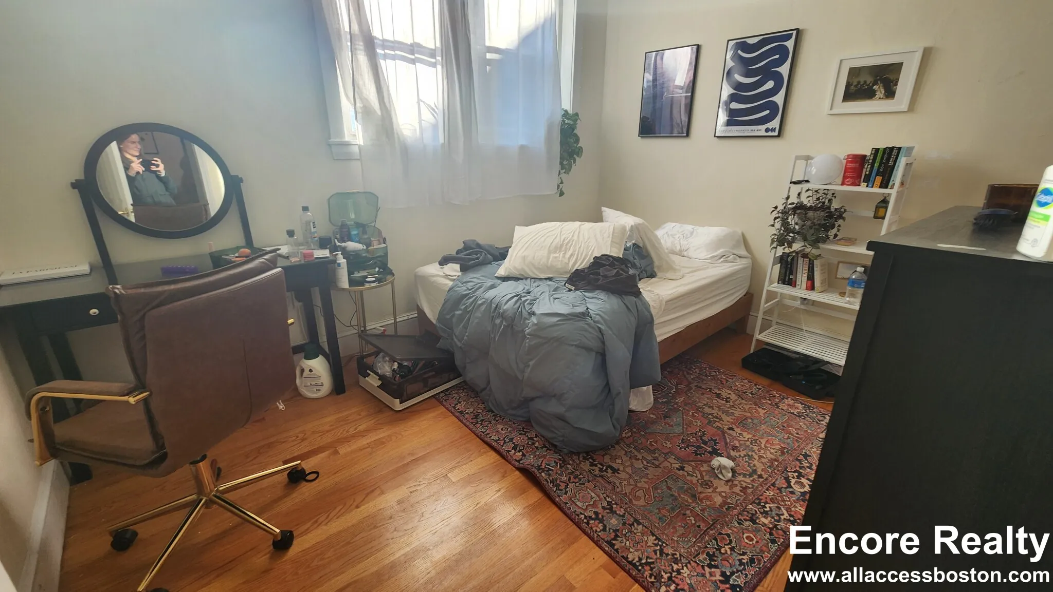 66 Egmont St, North Brookline