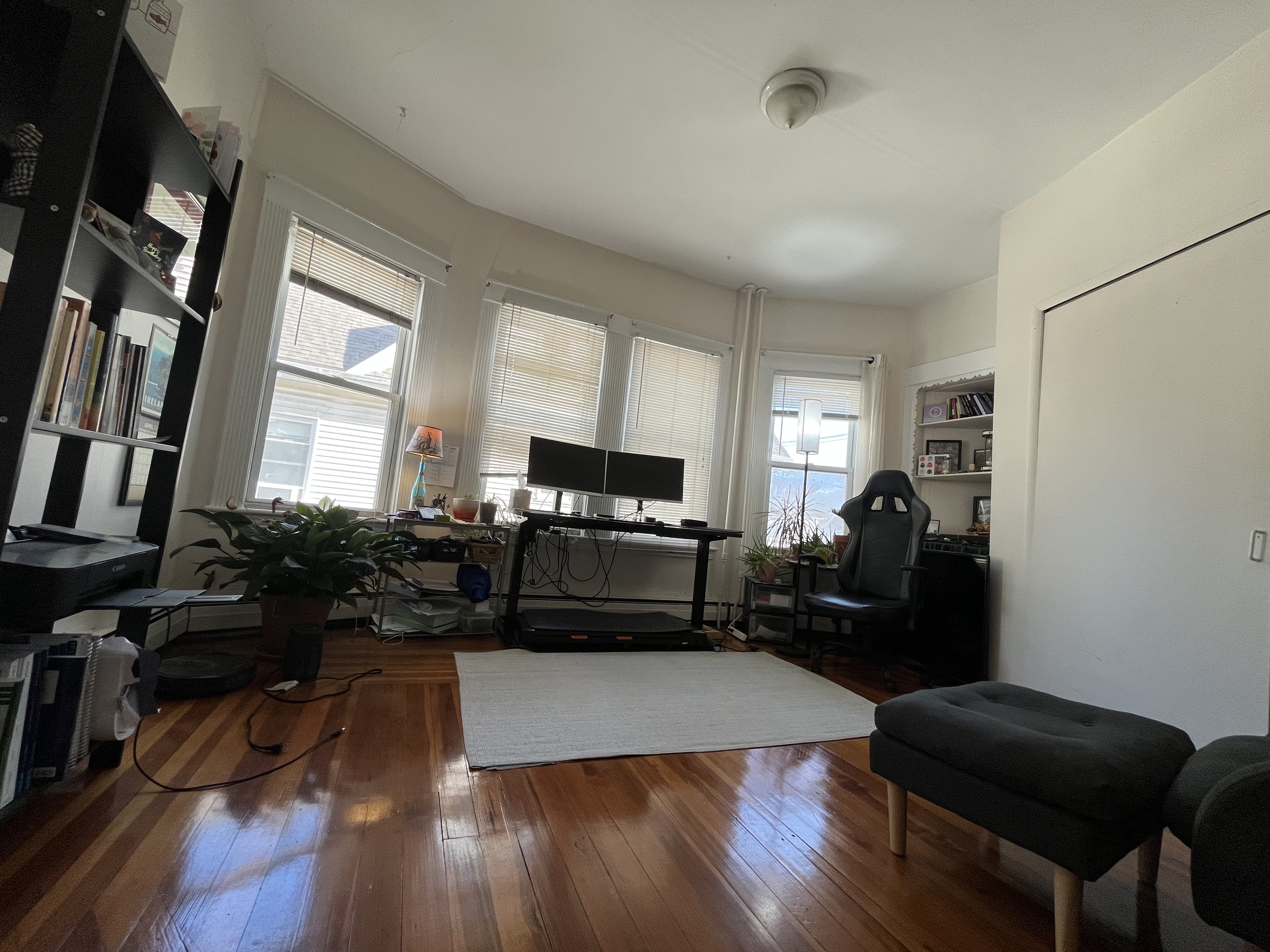 53 Elm St, Spring Hill