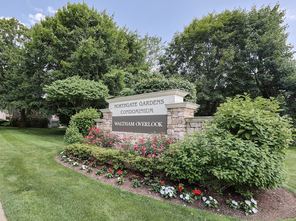 54 Jacqueline Rd, Waltham