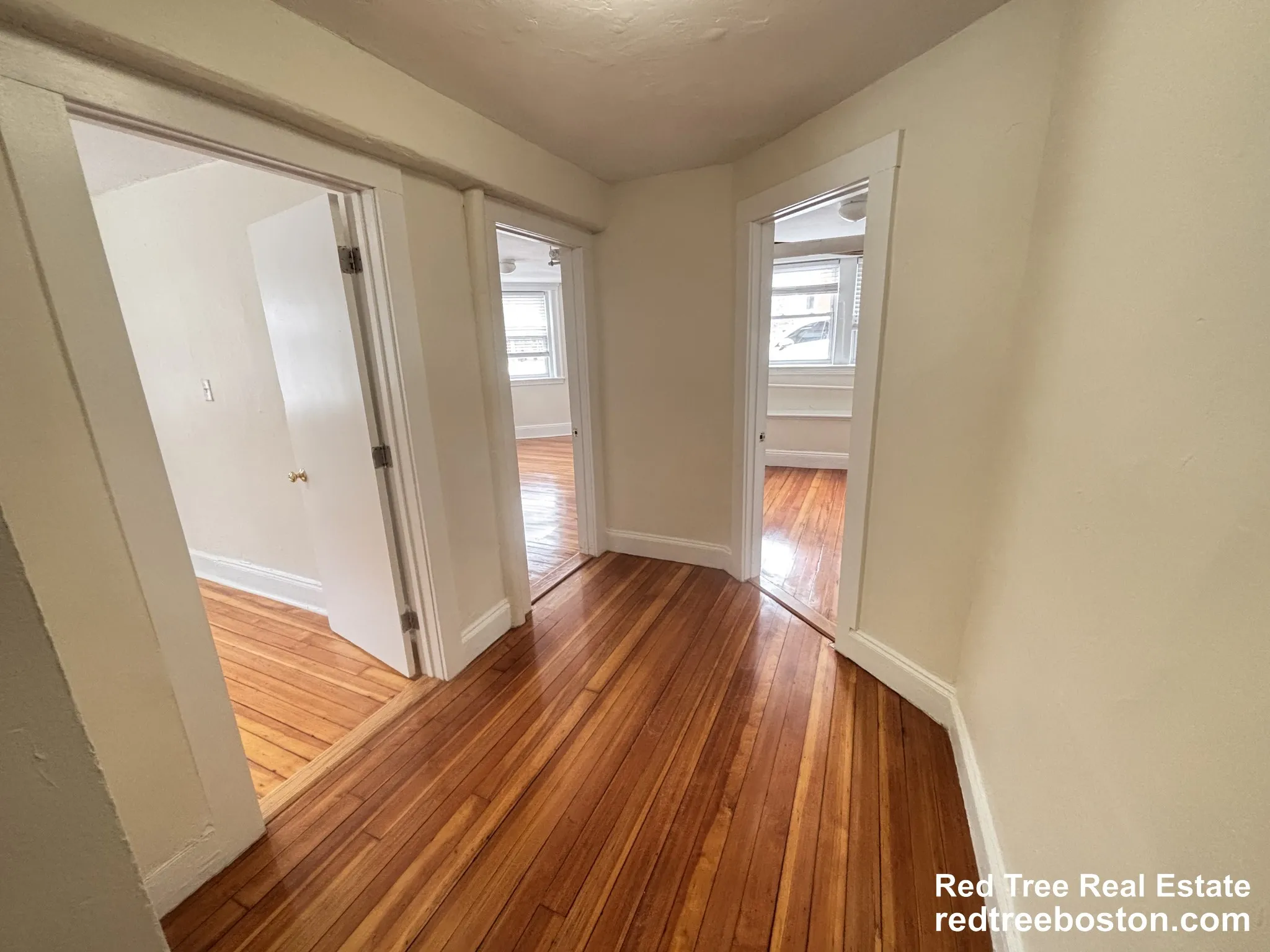 7 Mount Hood Rd, Brighton