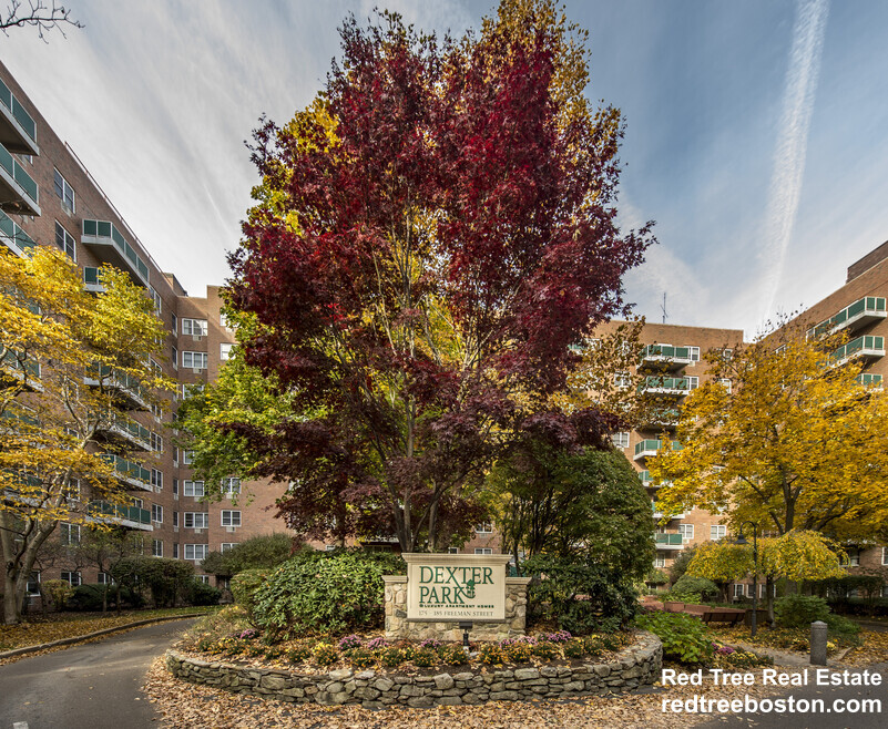 185 Freeman St, North Brookline