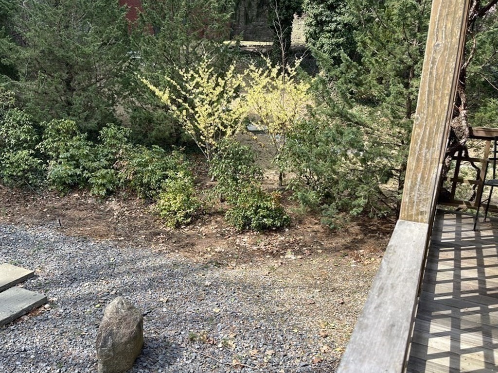 38 Cumberland Ave, Brookline