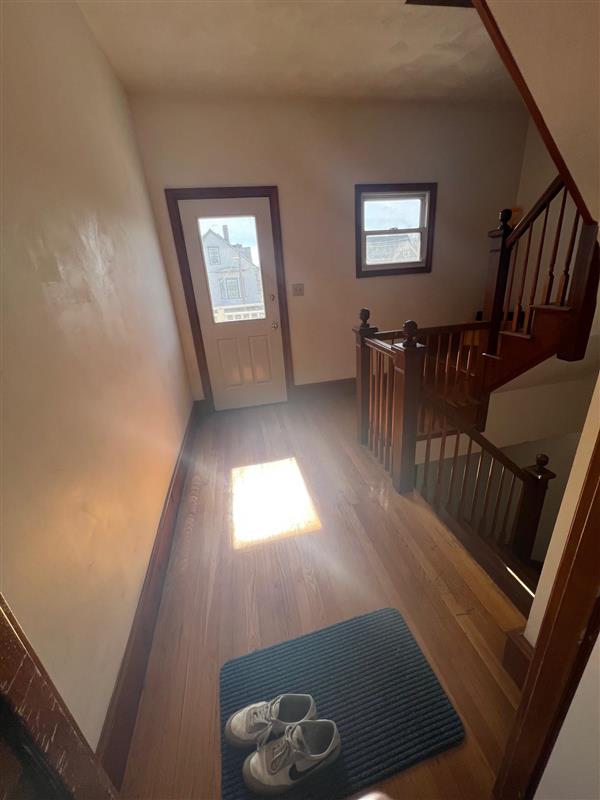 51 Elm St, Spring Hill