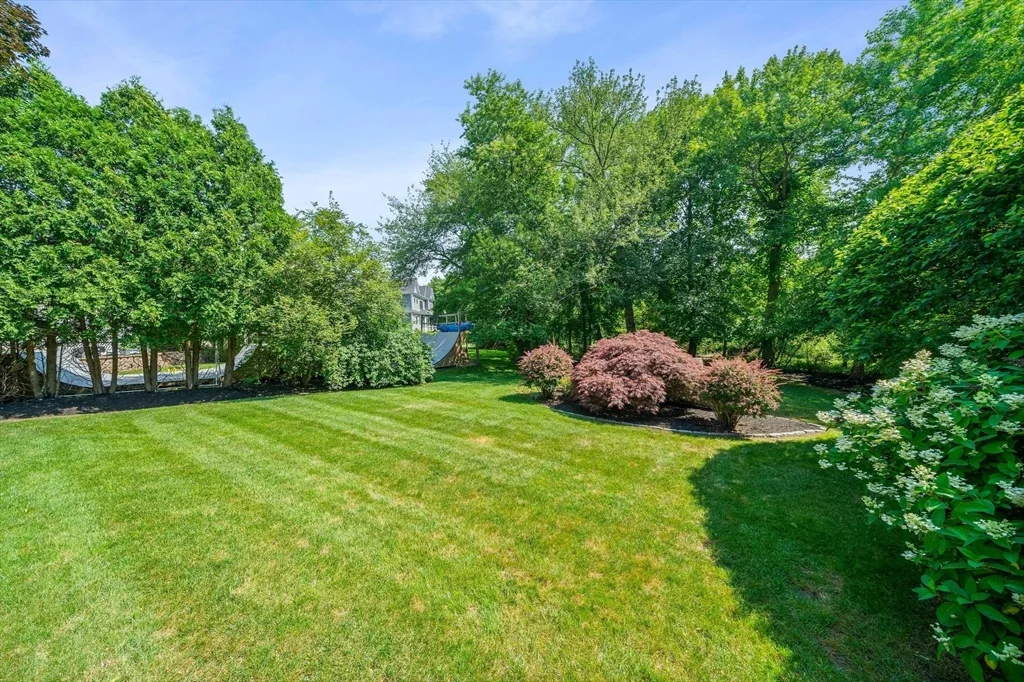 37 Harwich Rd, Newton