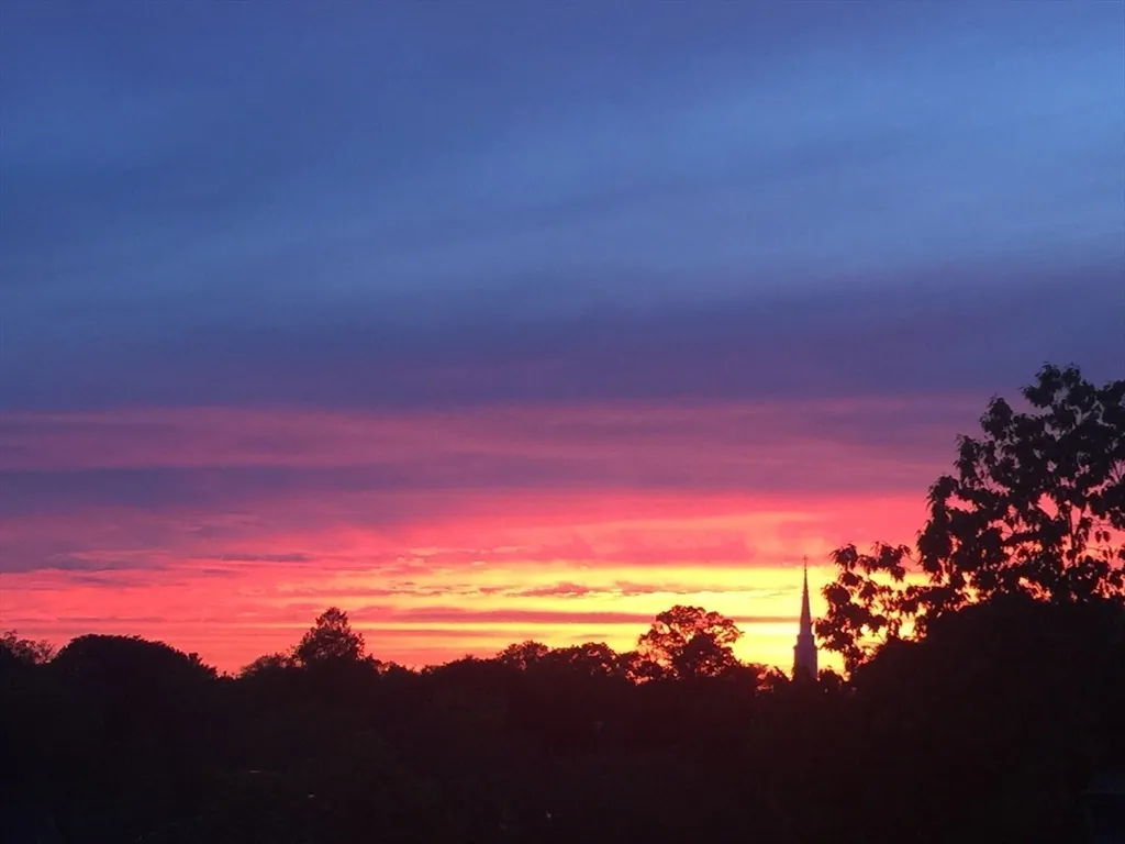 29 Concord Ave, Neighborhood Nine