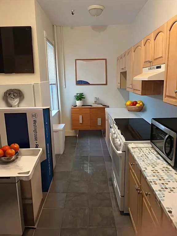 247 Chestnut Hill Ave, Brighton