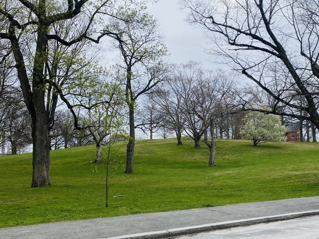 20 Crystal, Worcester