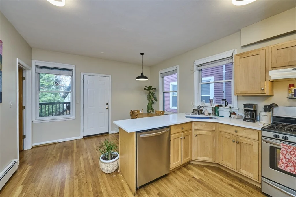 14 Haverford St, Jamaica Plain
