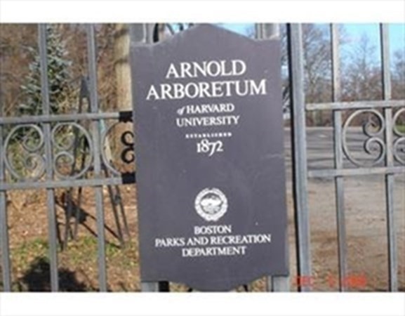 848 South, Roslindale