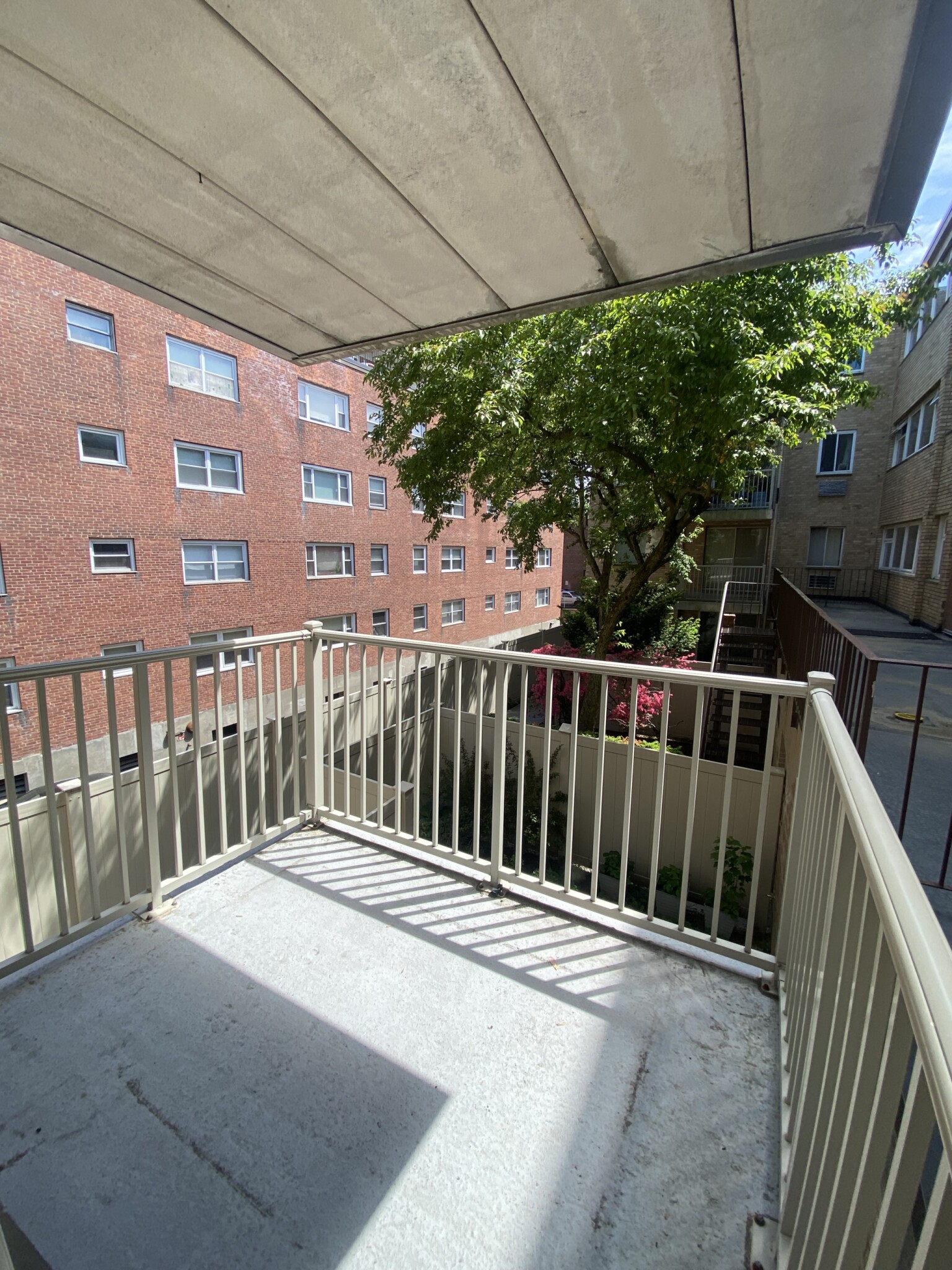 123 Sewall Ave, Coolidge Corner