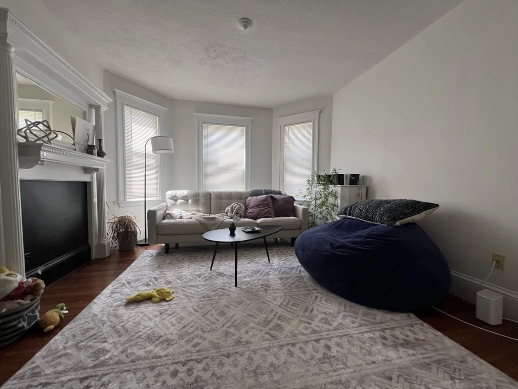 229 Belmont St, Belmont