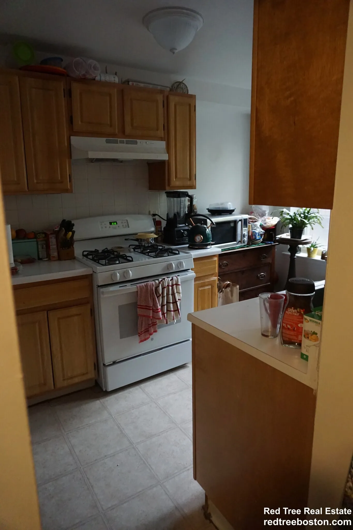 20 Colborne Rd, Brighton