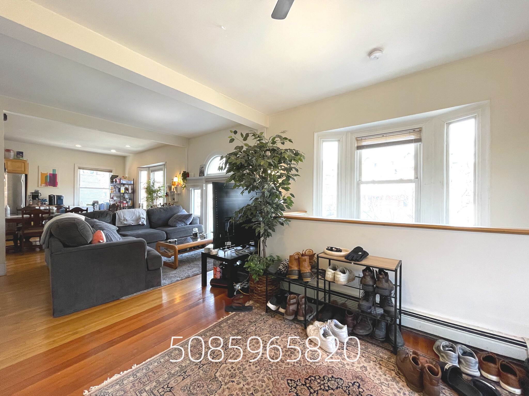 66 Englewood Ave, Brighton