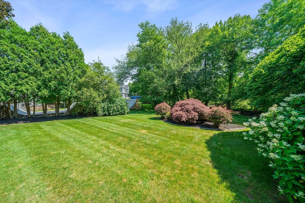 37 Harwich Rd, Newton